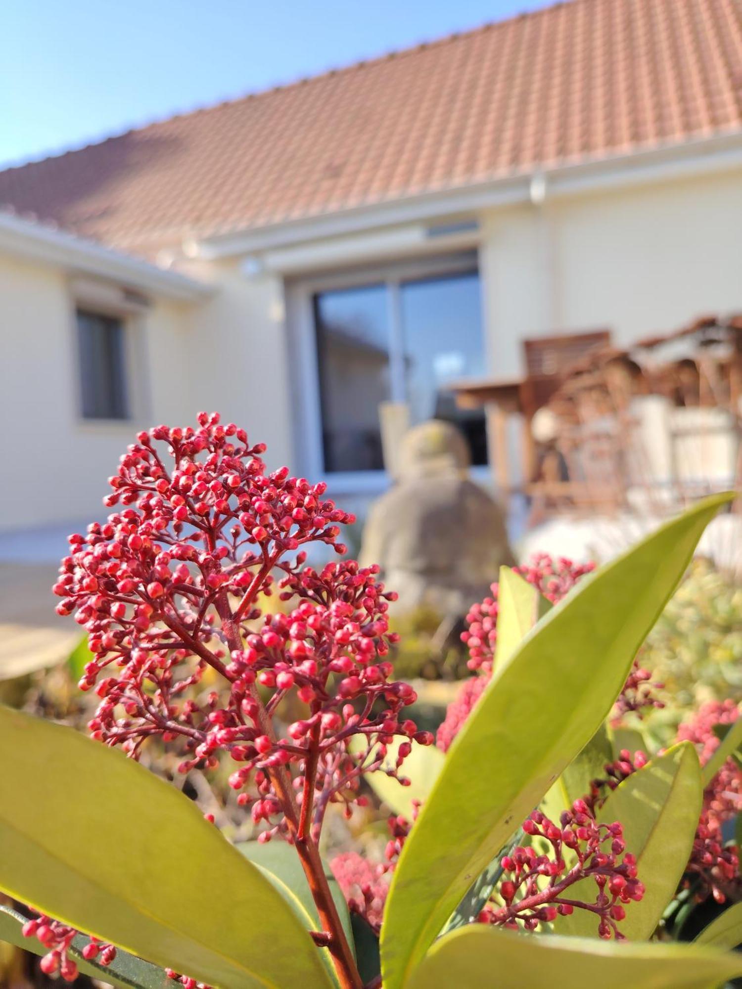 Le Jardin Des Lacs Gite Nature Et Spa Ardres Exterior photo